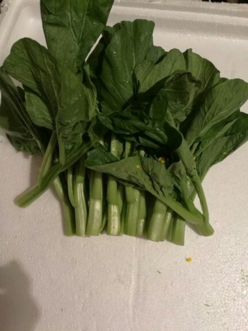 菜苔