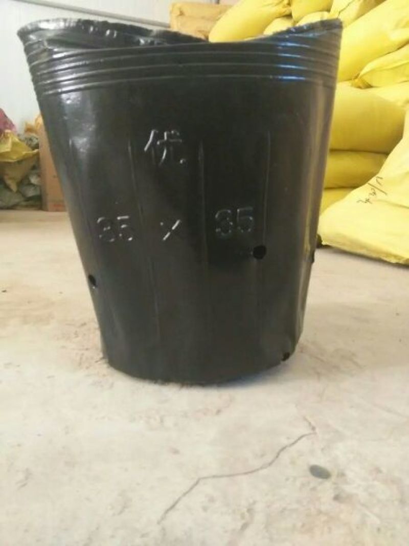 育苗袋