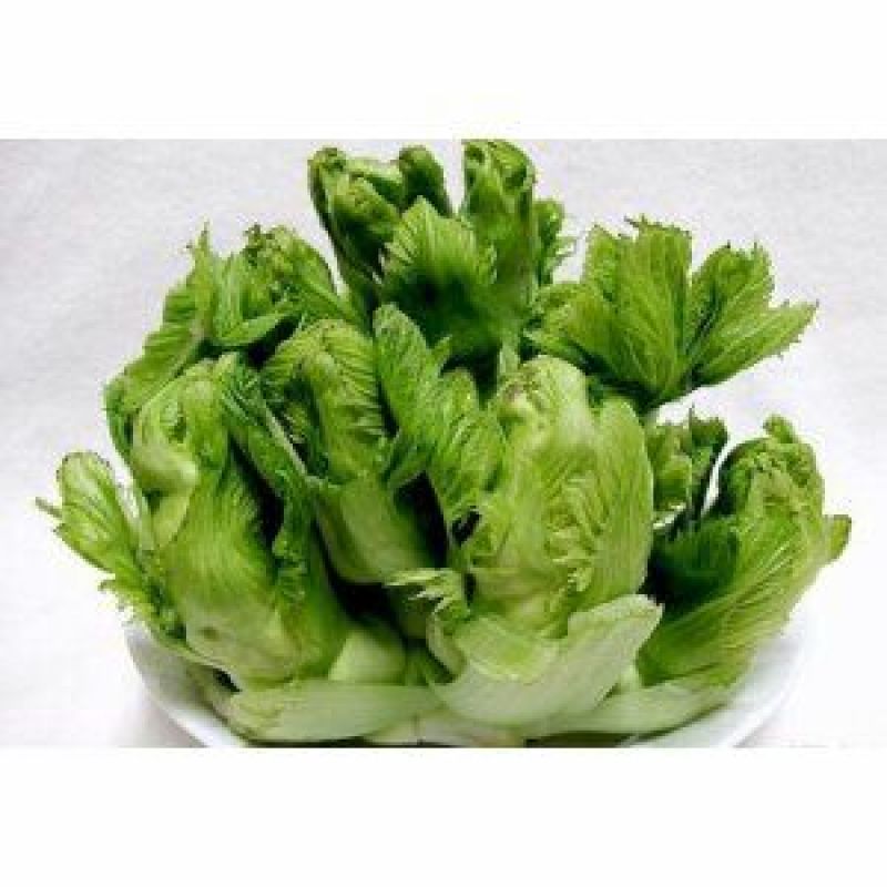 儿菜5两以上