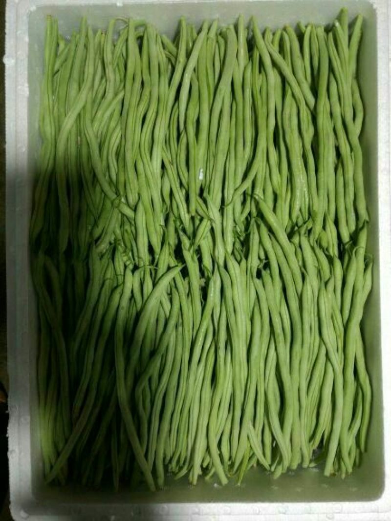 无筋豆20厘米以上，品质有精品，中等，次品，价格实惠！