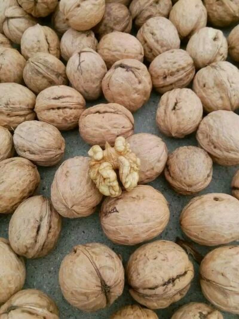 香玲核桃去皮干