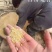 土鸡蛋食用50g以下