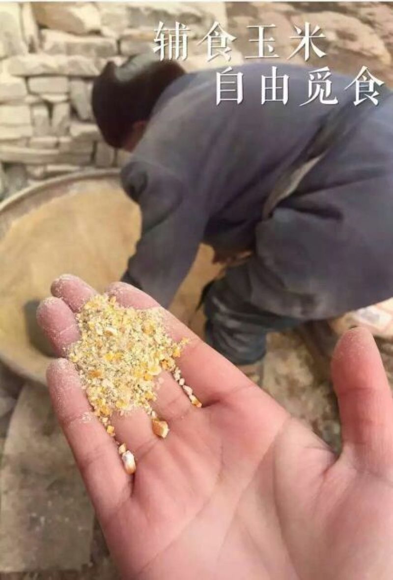 土鸡蛋食用50g以下