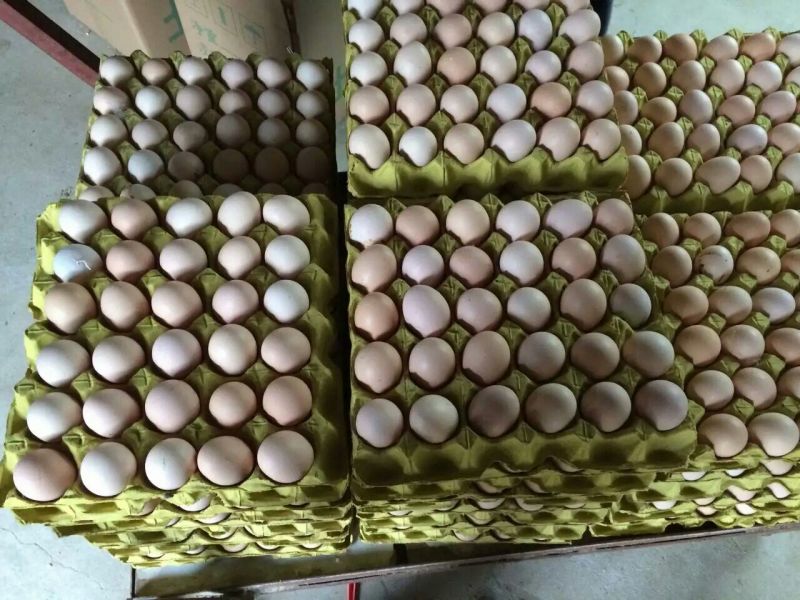 白蛋食用50~60g