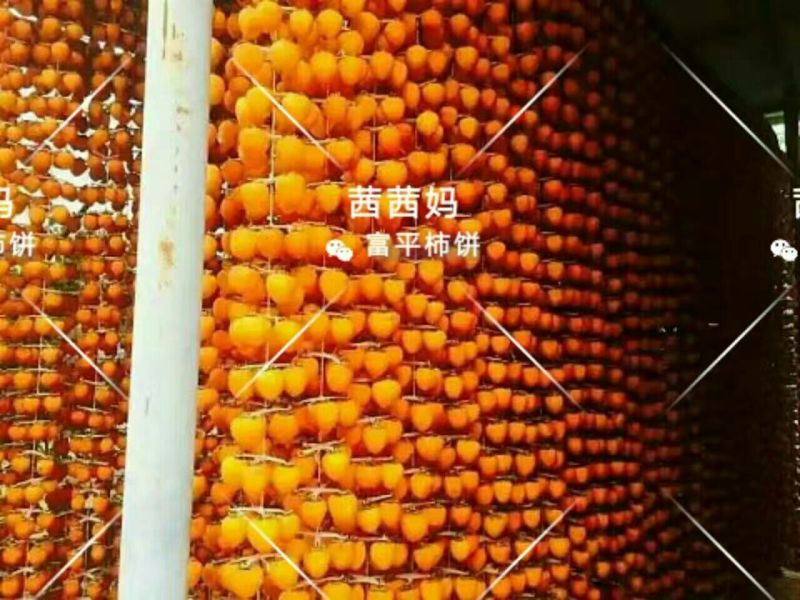 柿饼1~2两
