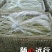 九粒白芸豆20cm以上