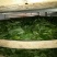 古树普洱茶二级