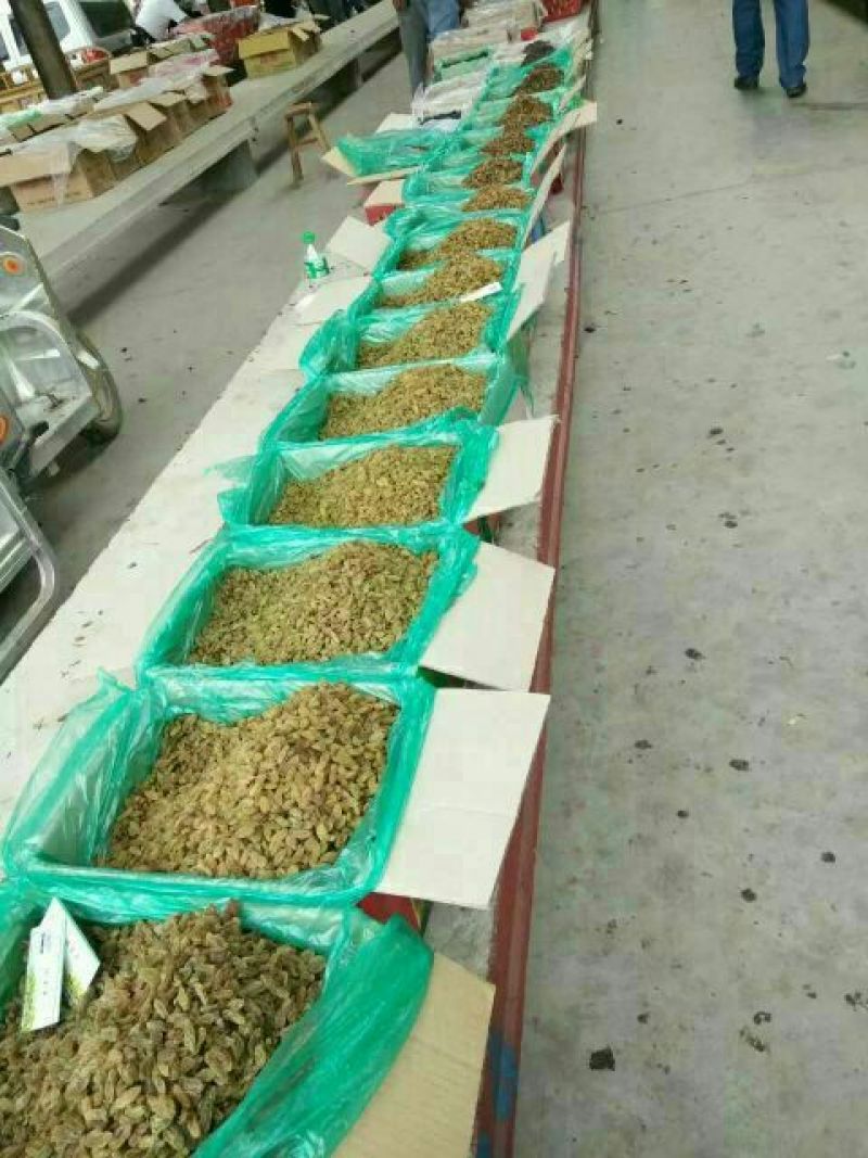 绿无核葡萄干无核一级