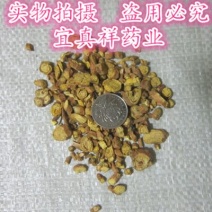 黄芩家种统片