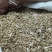 小麦12.5%以下