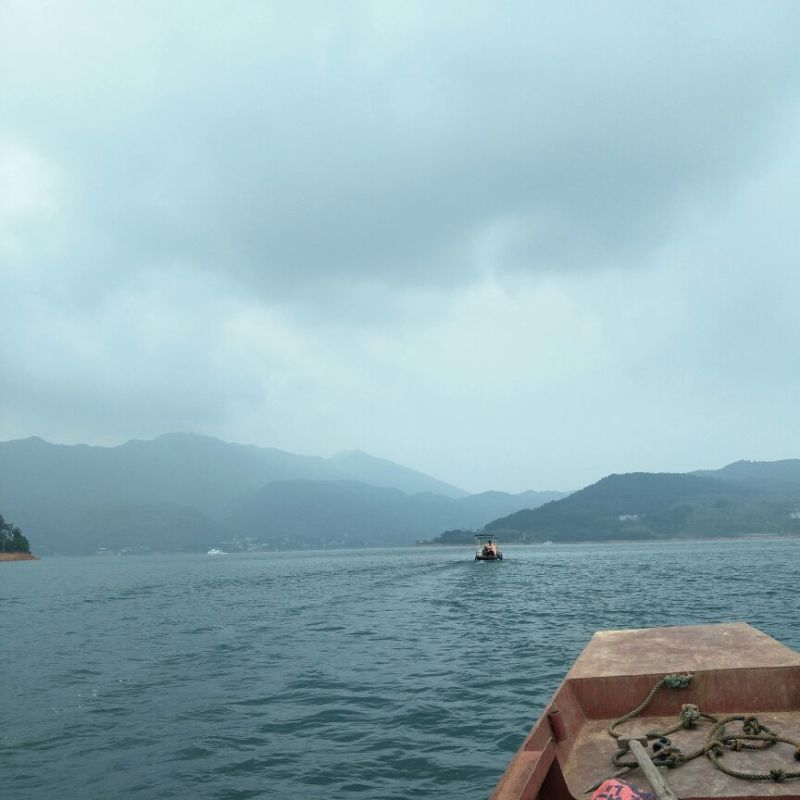 东江湖翘嘴白供应