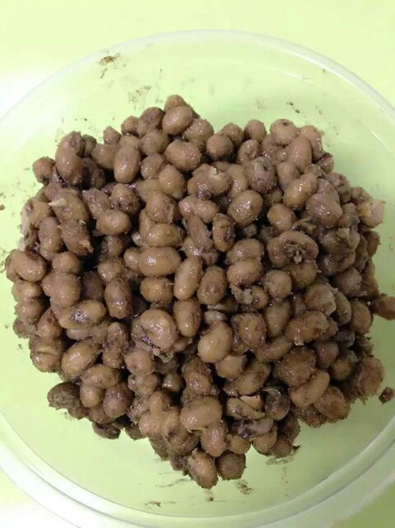 豆瓣