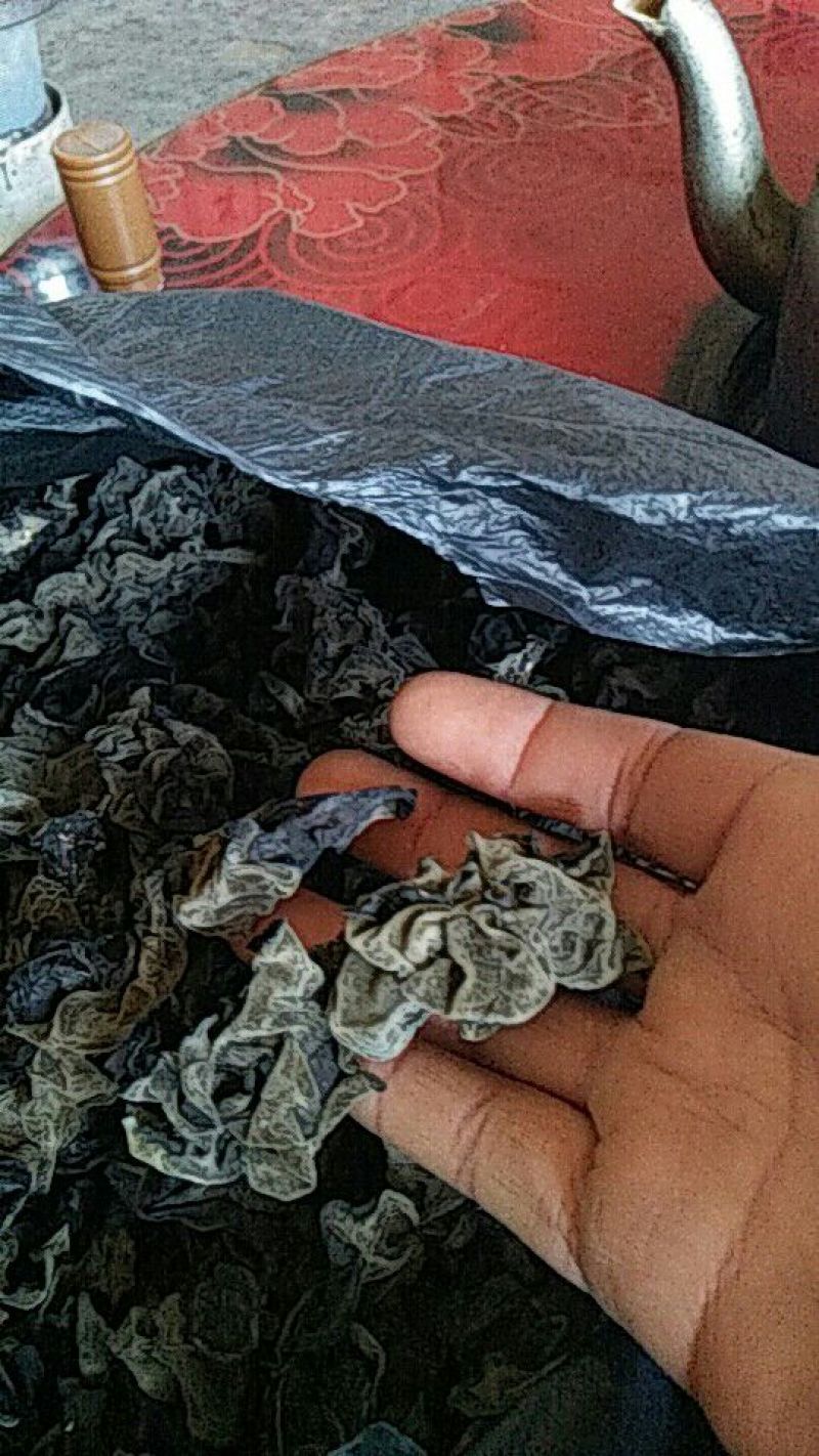 木耳一级