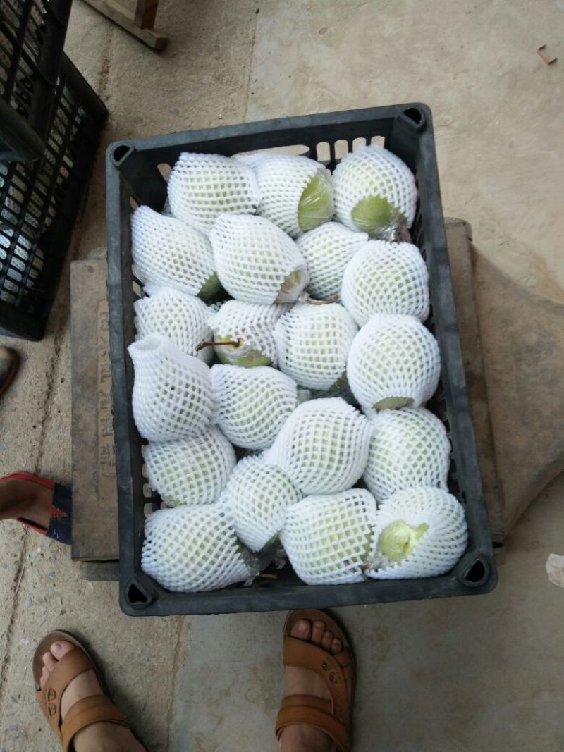 鸭梨200~250g膜袋