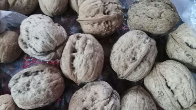 绵核桃25mm以下去皮干