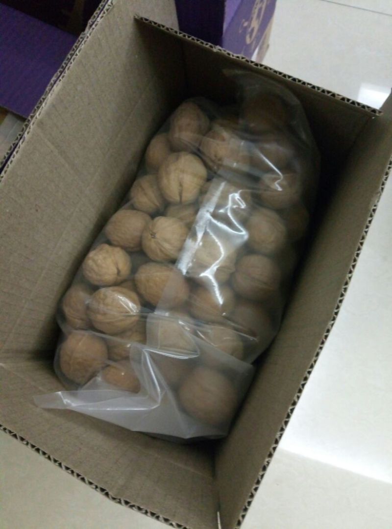 纸皮核桃去皮干
