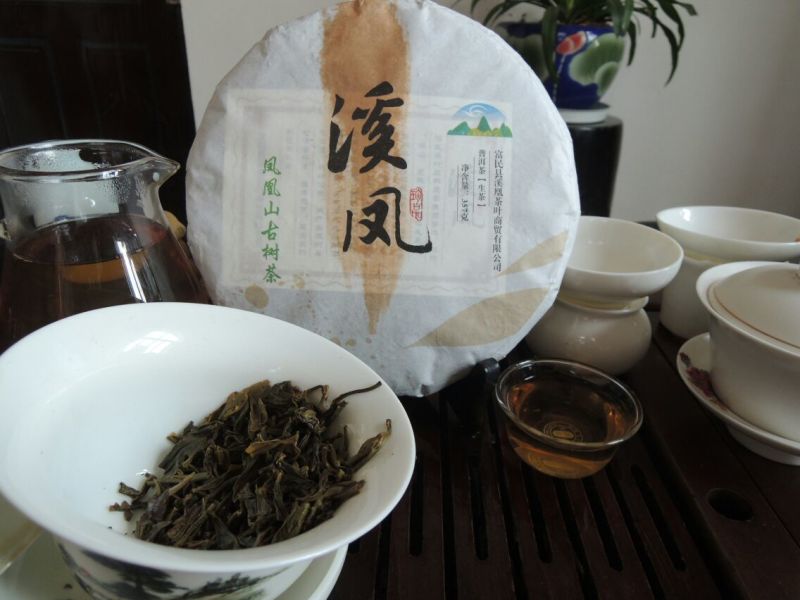 古树普洱茶一级