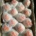 皇冠梨350~400g纸箱