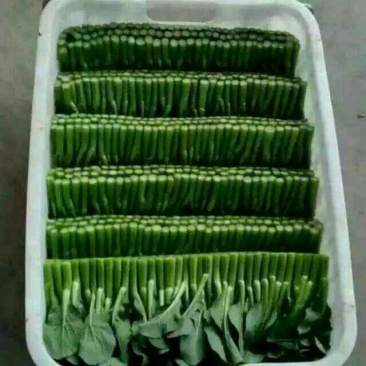 蔬菜