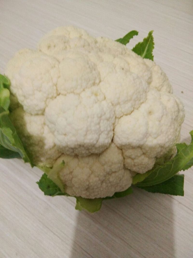 白花菜散装