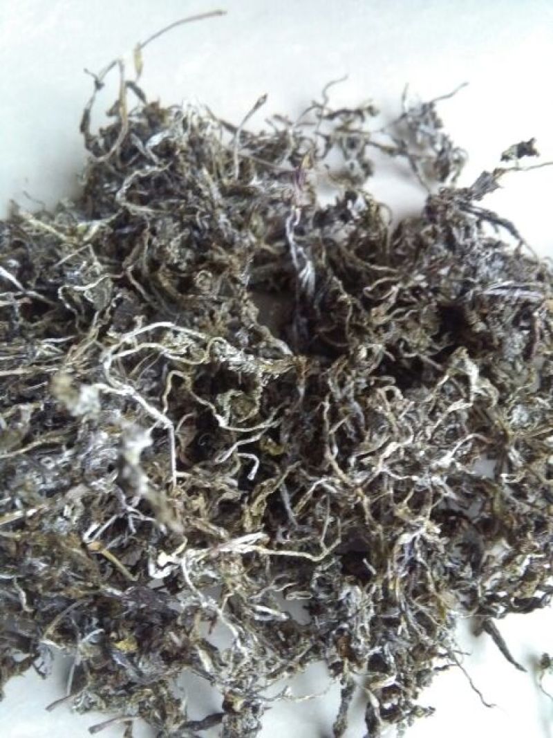藤茶特级
