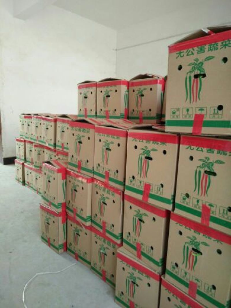 陕西渭南线椒，规格齐全品质保障大量供应，可视频看货