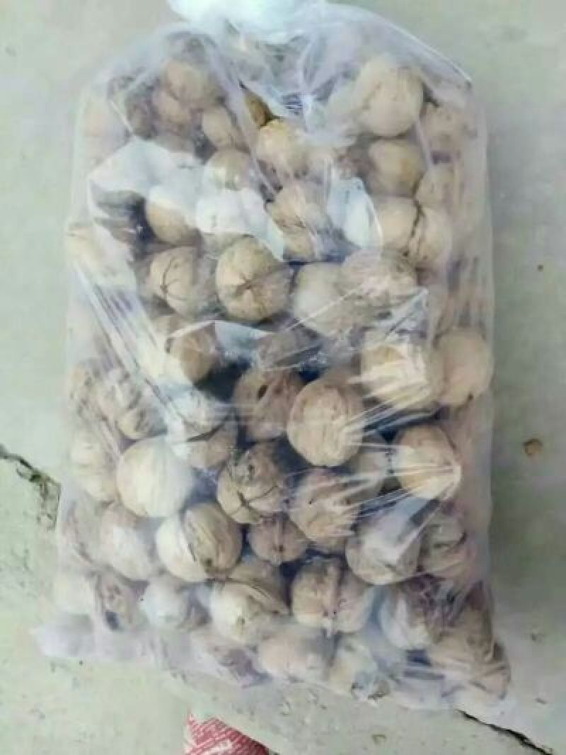薄皮核桃去皮干
