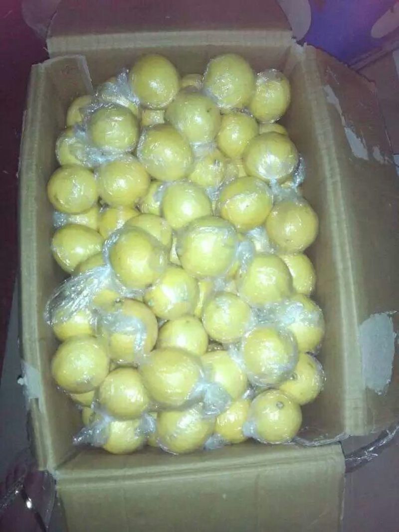 香水柠檬皮厚香味十足，皮薄多汁