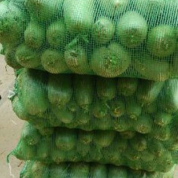 露头青萝卜0.2~1斤起