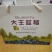 蓝莓8~10mm以上