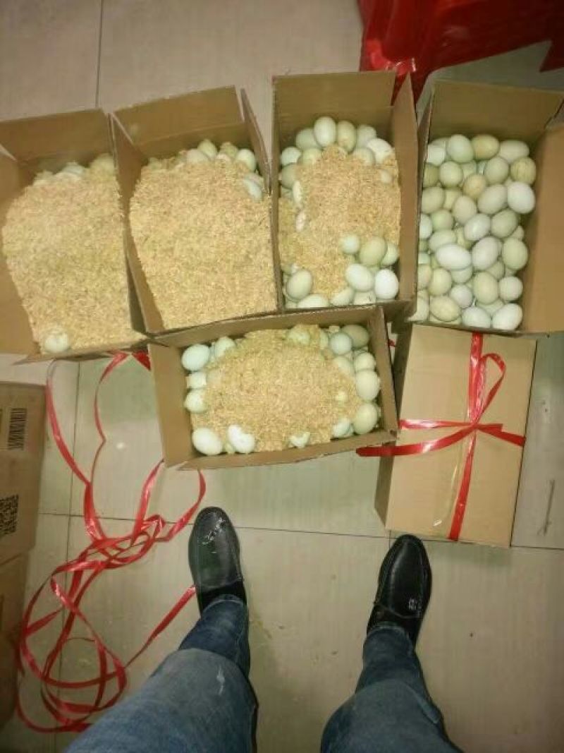 绿壳鸡蛋食用50g以下