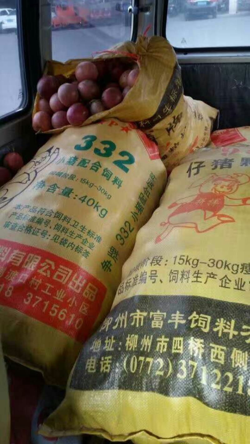 百香果紫果70~80g