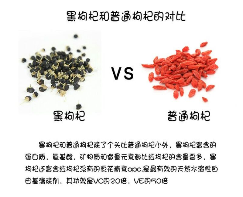 黑枸杞