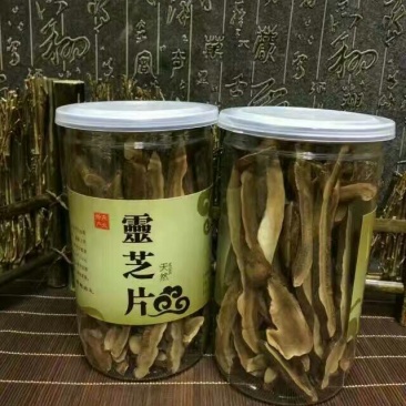 灵芝切片8~12公分