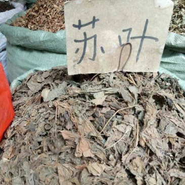 紫苏叶
