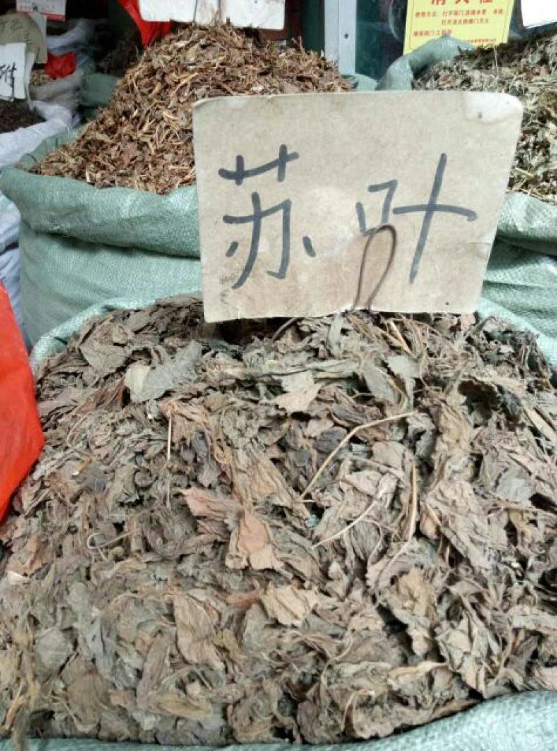 紫苏叶