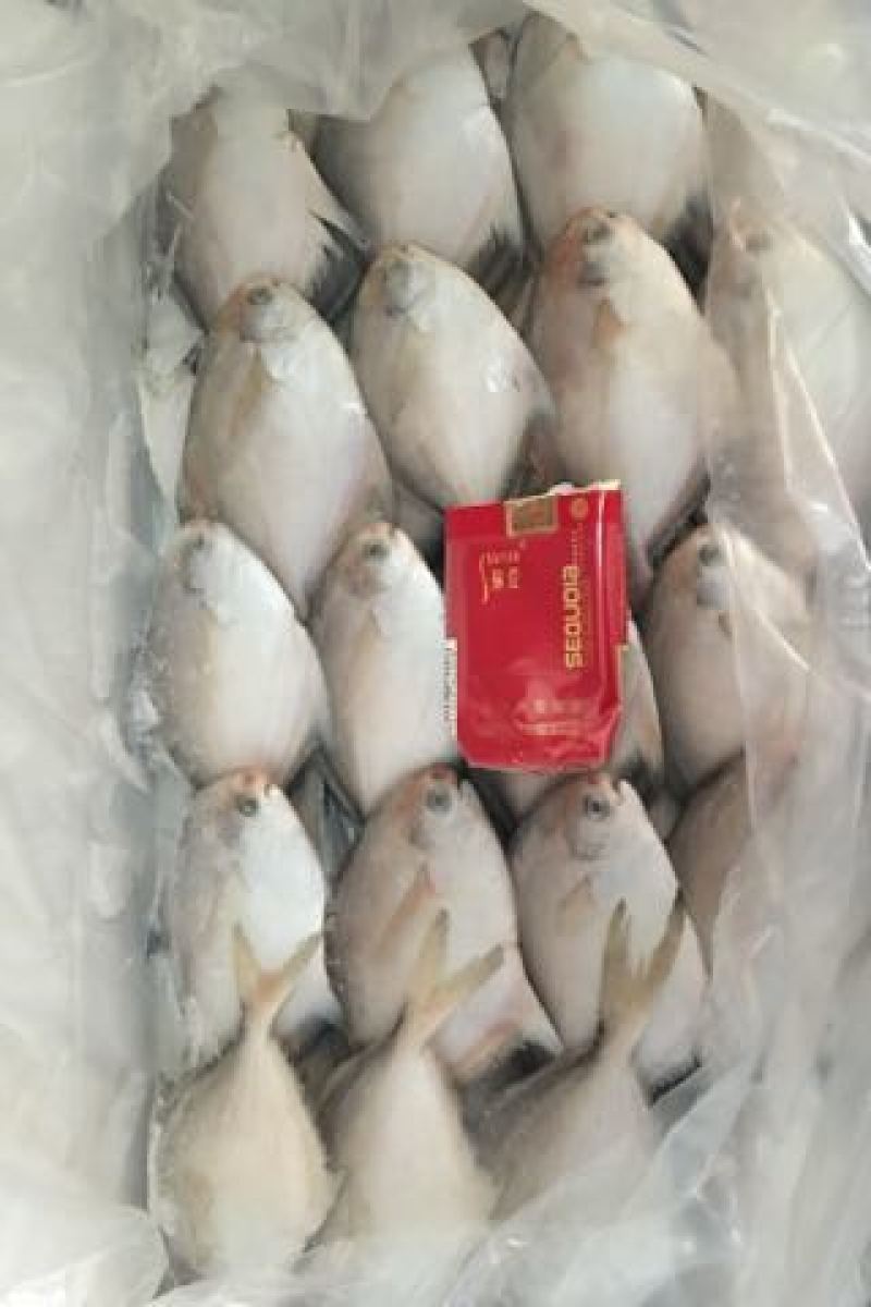 繸鳚