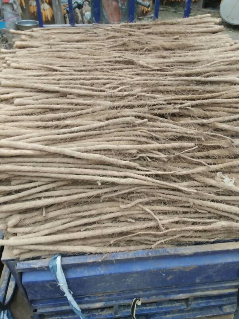新西施铁棍山药0.1之0.3厘米30~100厘米不等