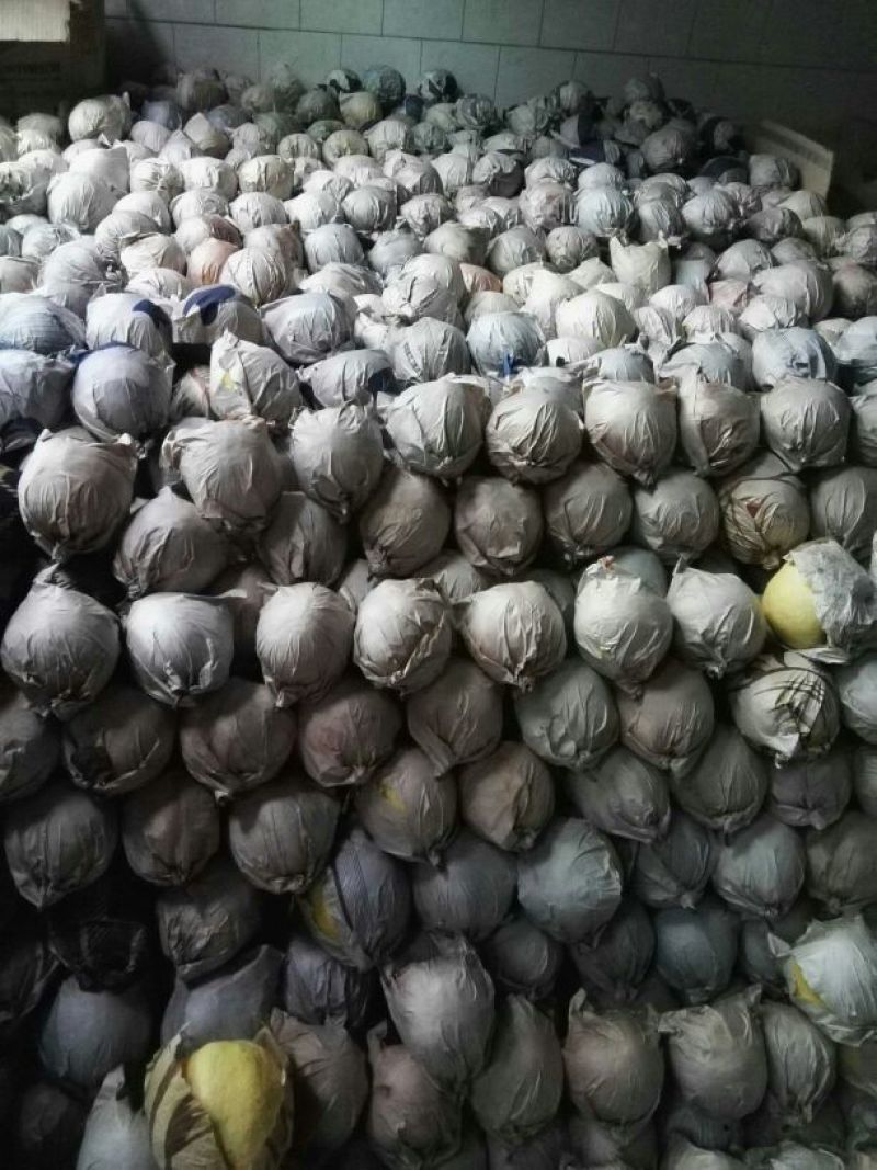 贡梨350~400g纸箱