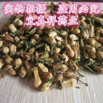 玳玳花