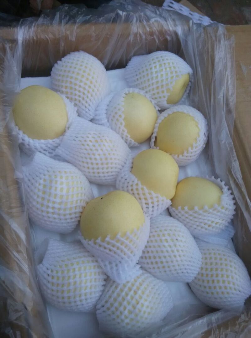 皇冠梨300~350g纸箱