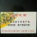 枣树2~4cm4cm以下