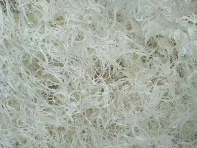 银鱼干