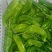 301辣椒10~15厘米青