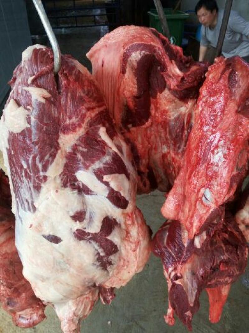 驴肉