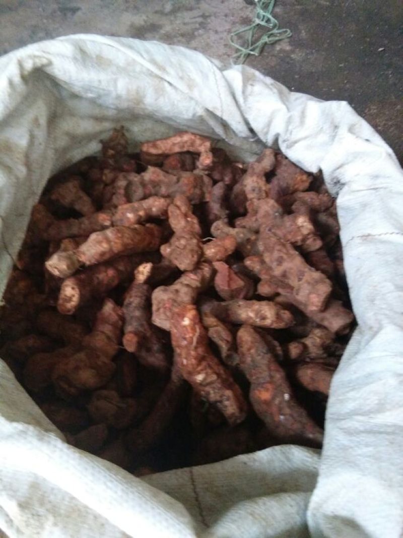 土茯苓统个，加工原材料，6.5元一斤。