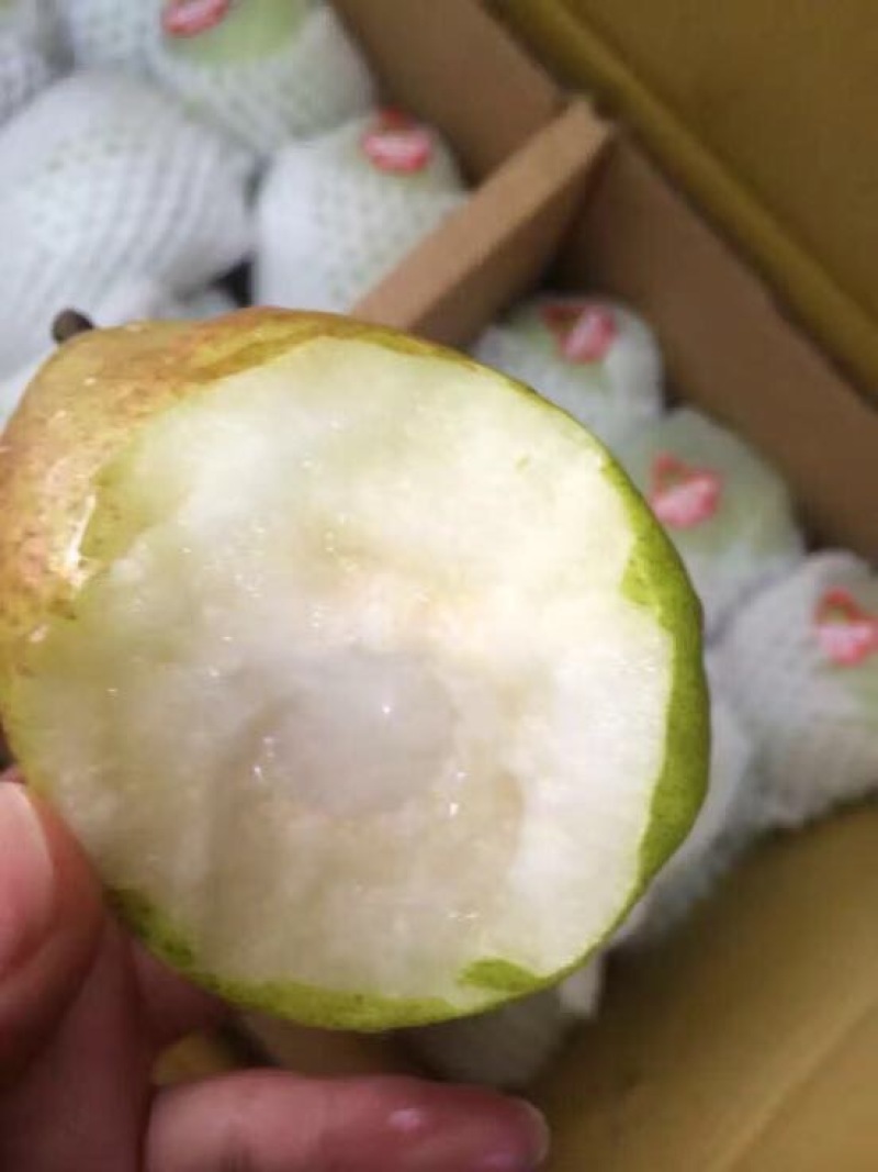 库尔勒香梨