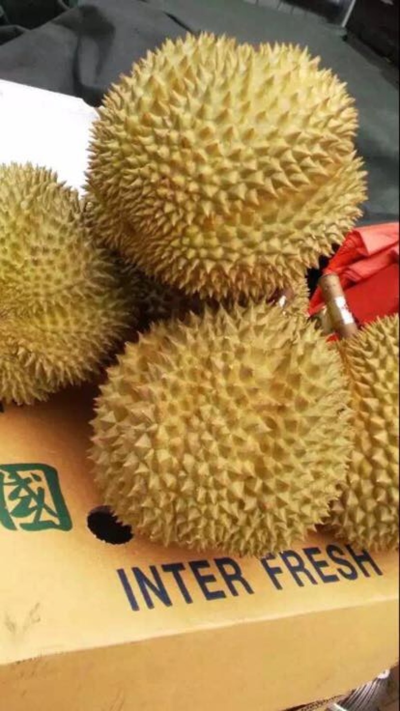 榴莲
