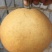 晚秋黄梨
