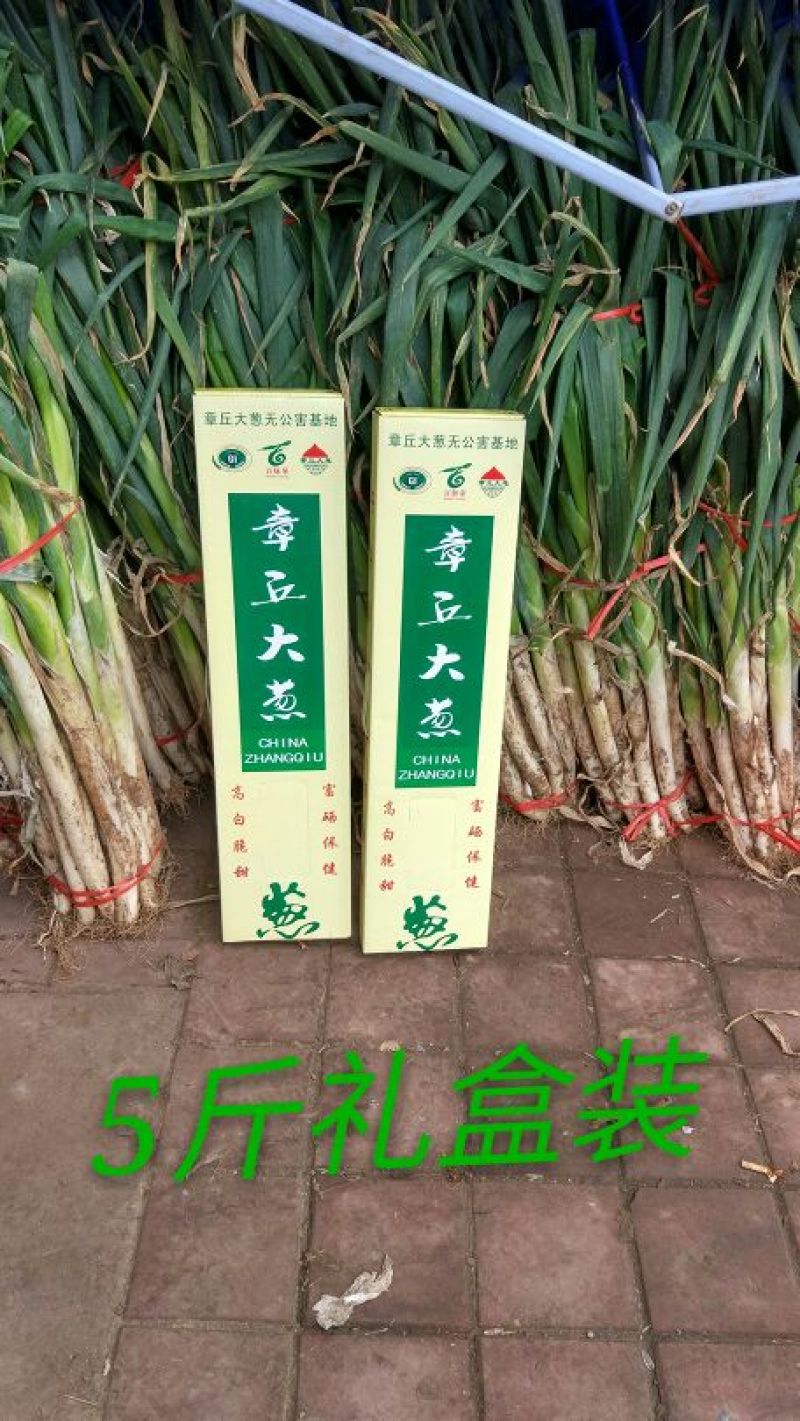 章丘大葱